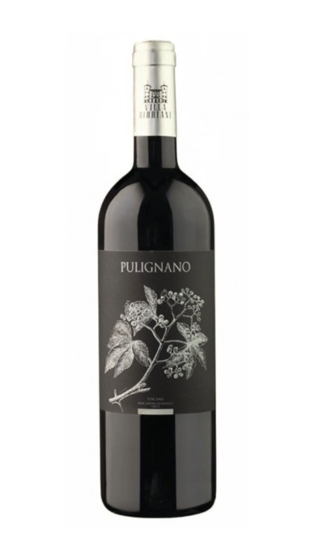 2018 Bibbiani Pulignano Rosso Toscano 12x750ml