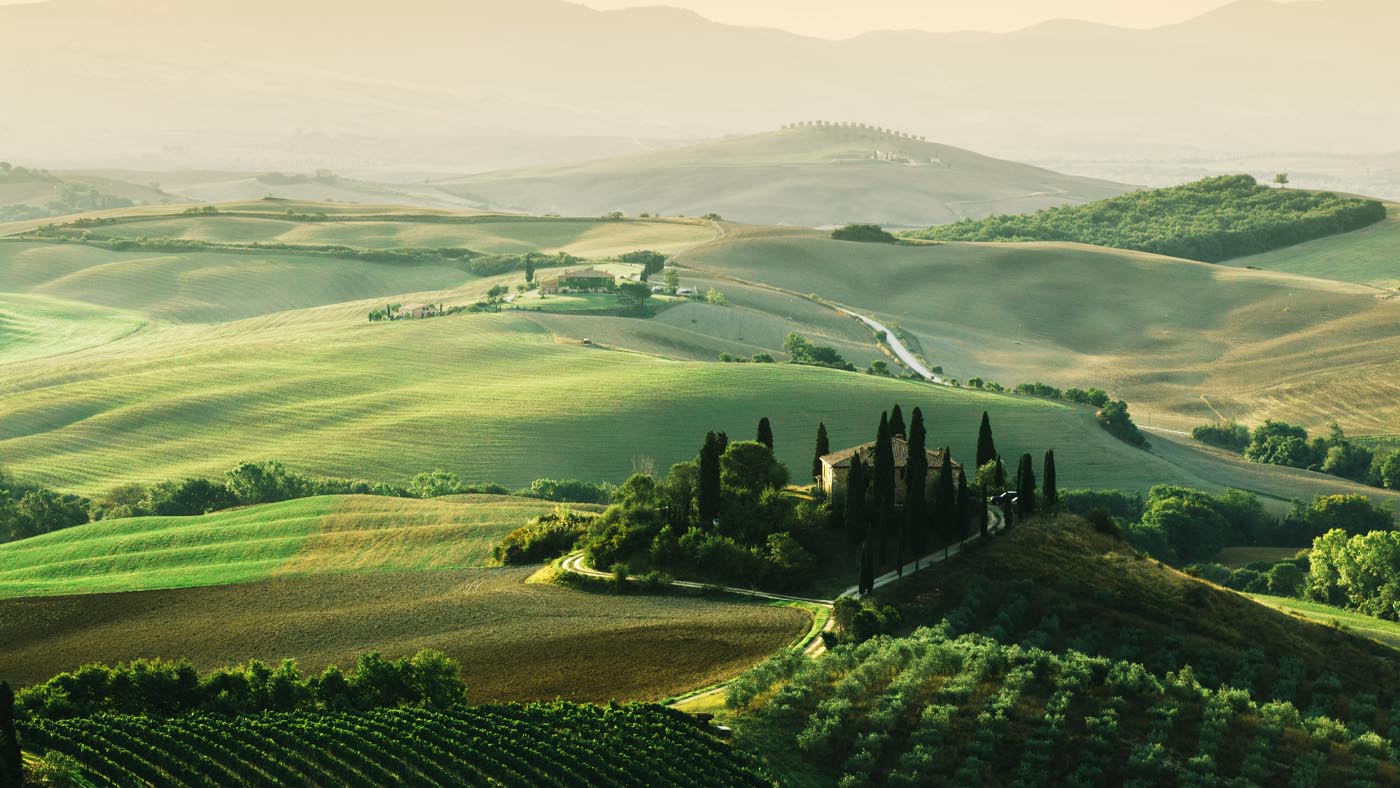 Italian Organic Wines: Trends & Challenges