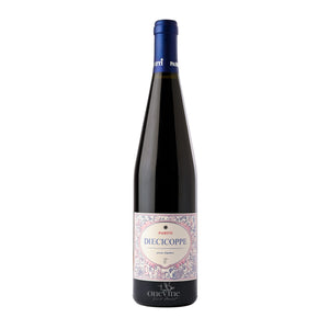 2025 Pasetti 'Diecicoppe' Rosso Colline Pescaresi IGP red wine bottle, curated by One Vine Wines.